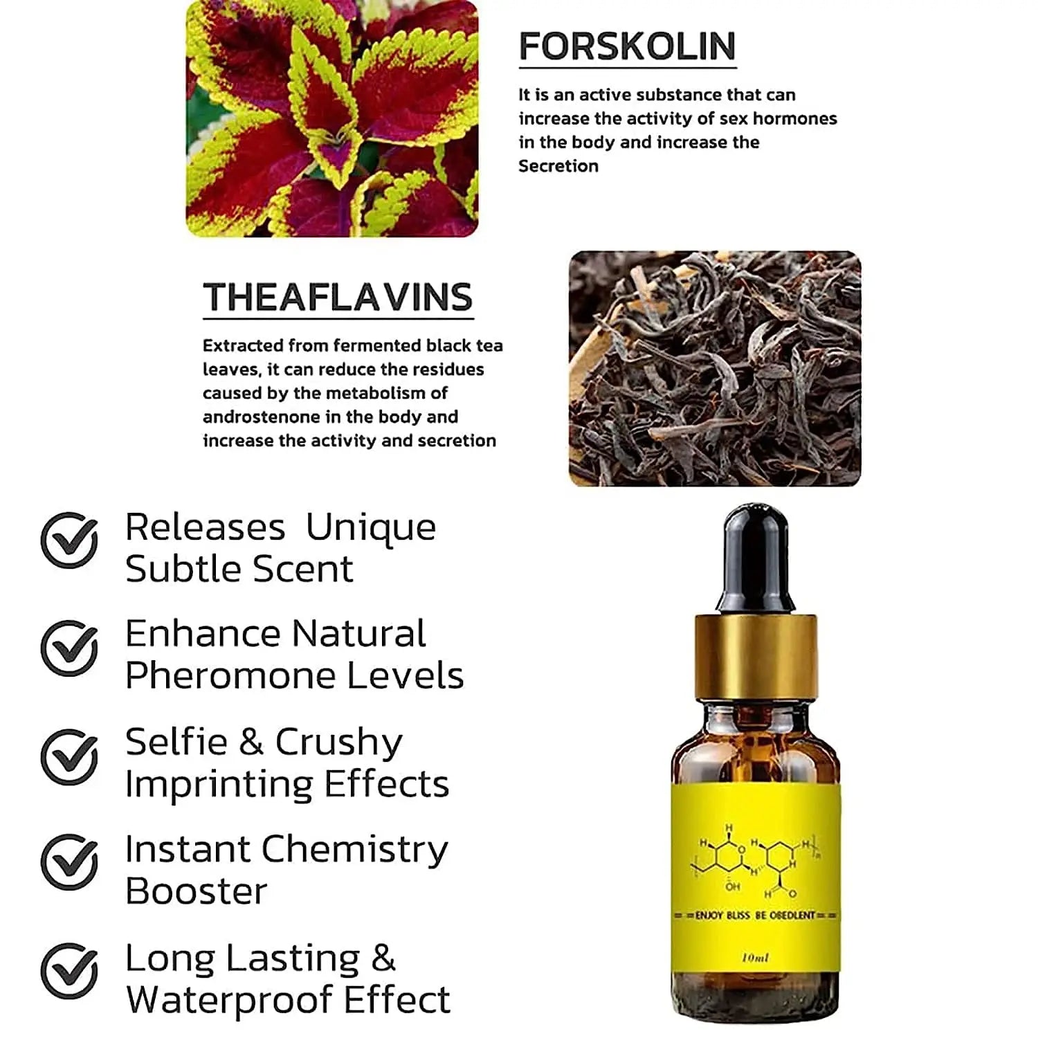 Androstenone Pheromone Oil for Men – Attraction Fragrance