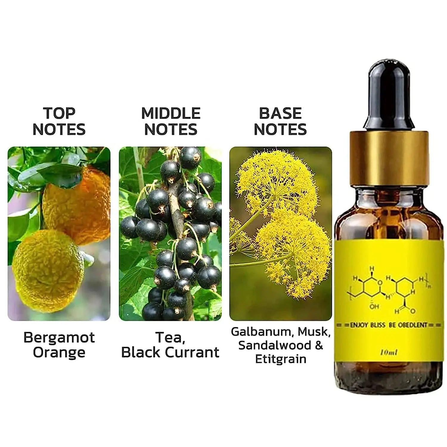 Androstenone Pheromone Oil for Men – Attraction Fragrance